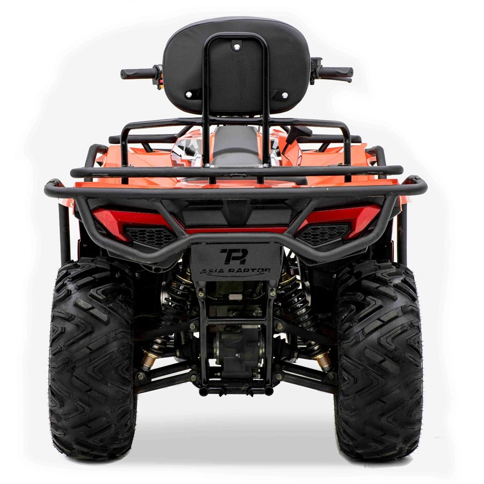 350CC 2WD/4WD ATV Quad Buggy Go Kart high quality